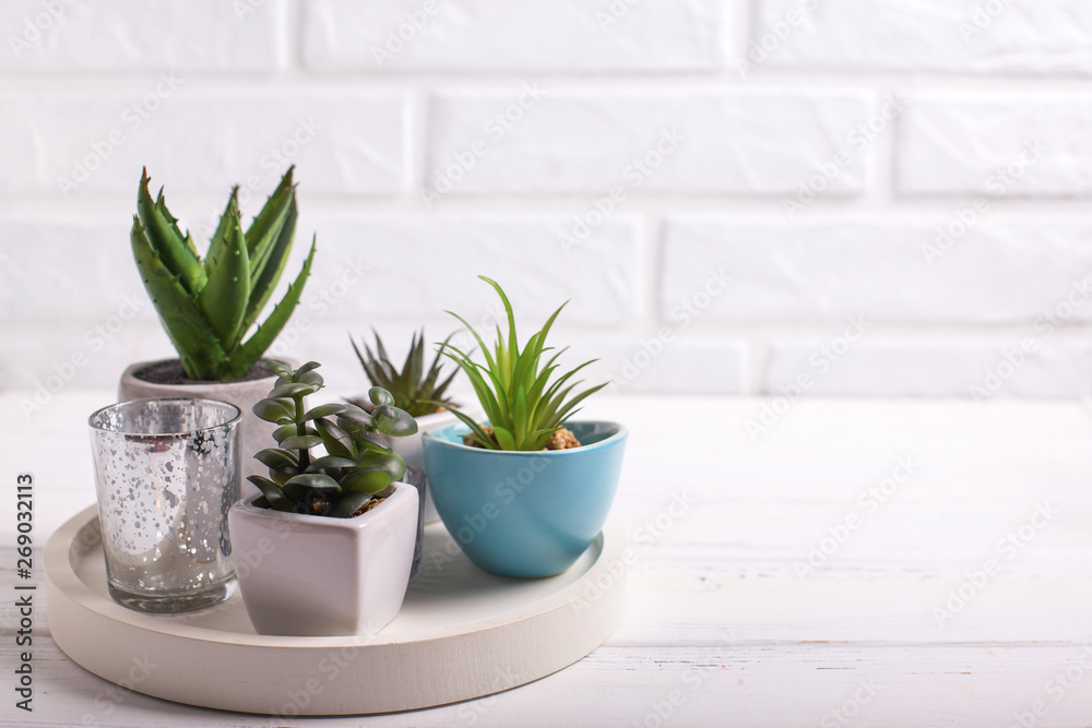 Succulents and cactus plants in pots on tray near by white brick wall. Succulents and cactus plants in pots on tray near by white brick wall.