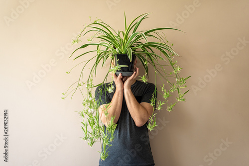 Man standing in front of a brown (beige) wall, holding a spider plant in front of his face