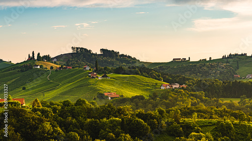 Vineyards in Austria south Styria, wine country,