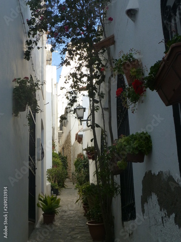 Fototapeta Naklejka Na Ścianę i Meble -  Mojacar. White village of Almeria. Andalusia,Spain