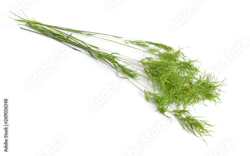 Poa alpina  commonly known as alpine meadow-grass or alpine bluegrass. Isolated