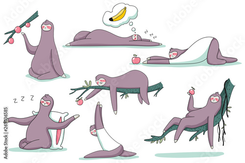 Cute sloth animal vector cartoon characters set isolated on a white background.