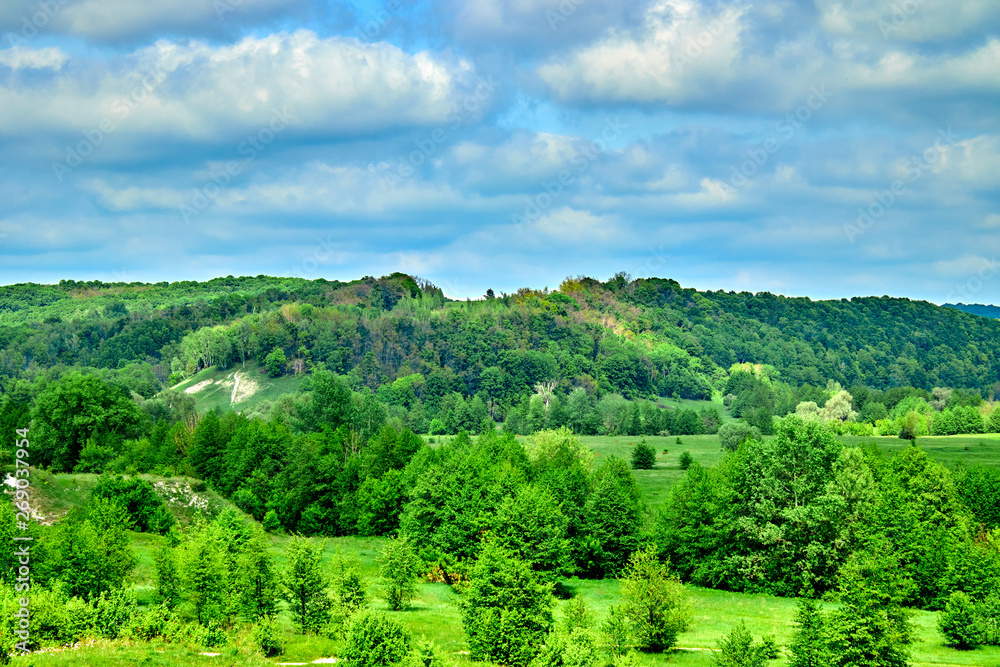 Obraz premium green fields and forests against a blue sky with clouds