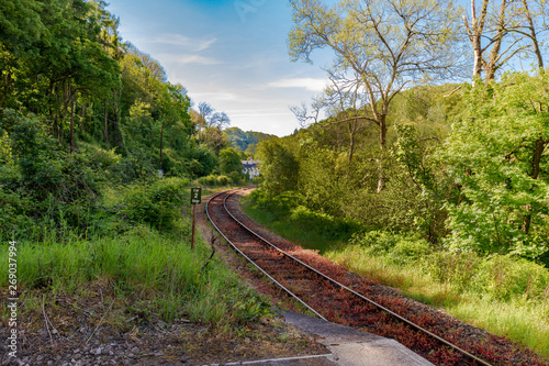 Looe Valley Rail Line