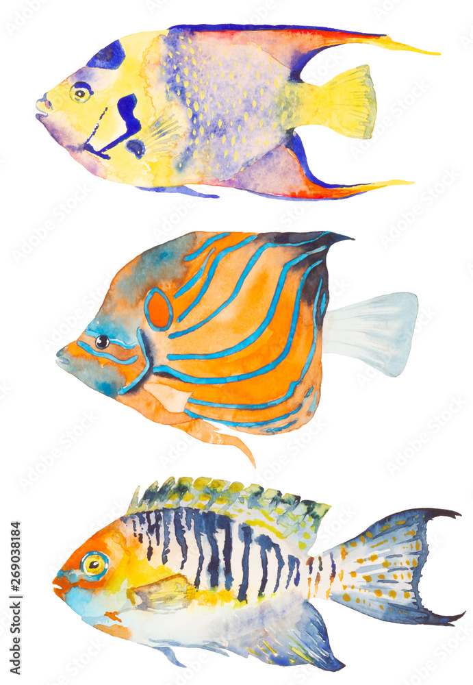 Watercolor ocean set fishes. Hand painted illustration.