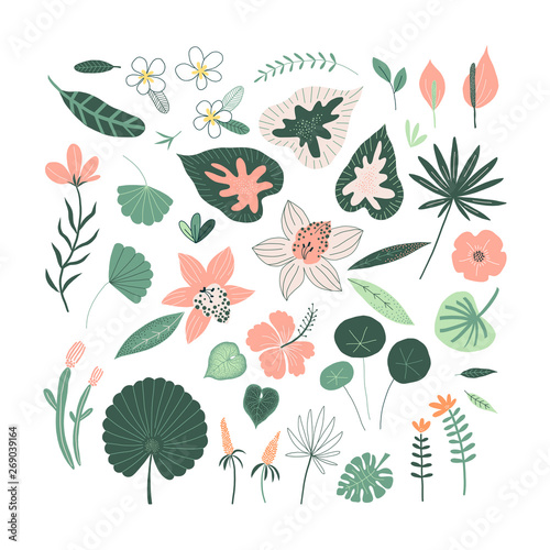 Exotic tropical plant and flowers drawing set isolated on white. Jungle rainforest floral decorative elements collection.