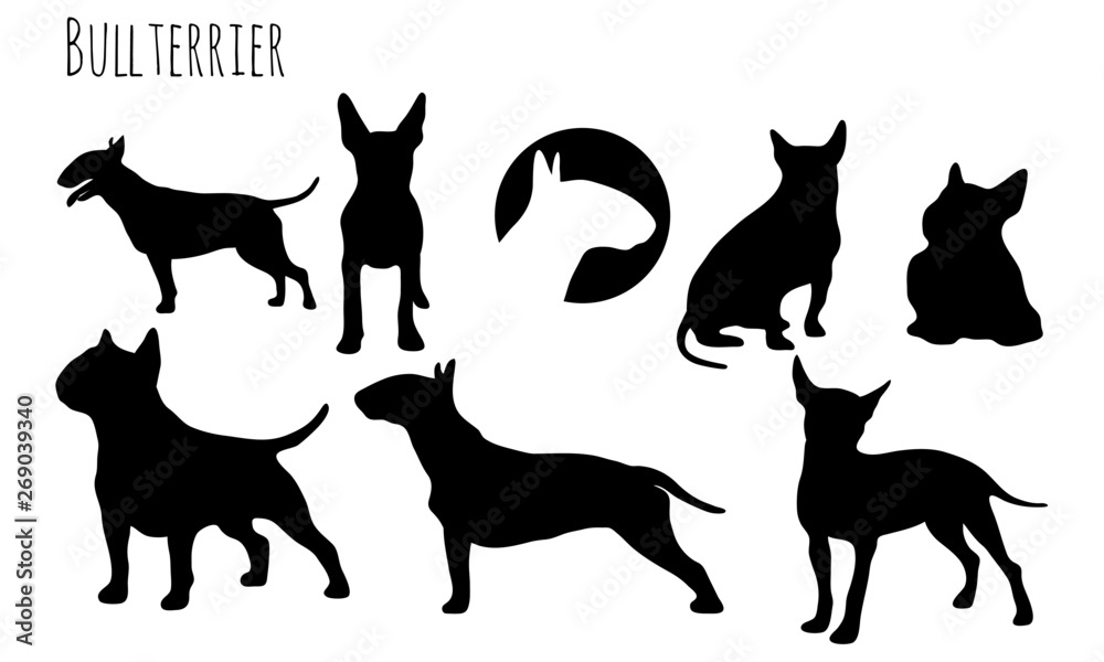 Bullterrier Vektor Icons