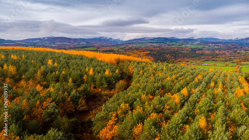 Wicklow national park Glendalough, Ireland from the drone ,areal photography