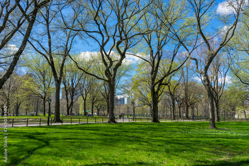 Central Park, Manhattan, New York City in spring Central Park, Manhattan, New York City in spring