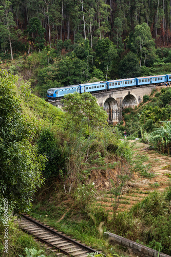 Railway arc bridge with train inside the jungles