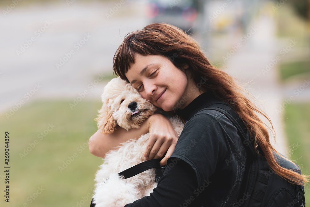 white maltese poodle mix puppies