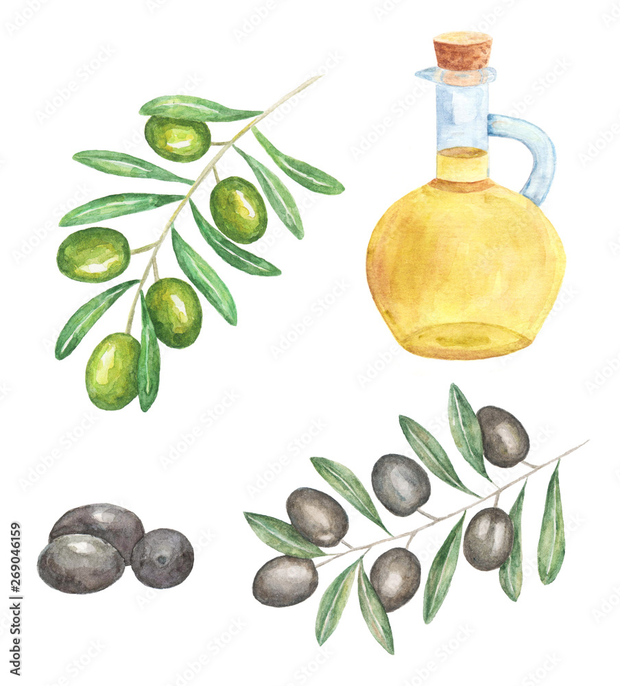 Olives oil set isolated on white background. Olives oil set isolated on white background.