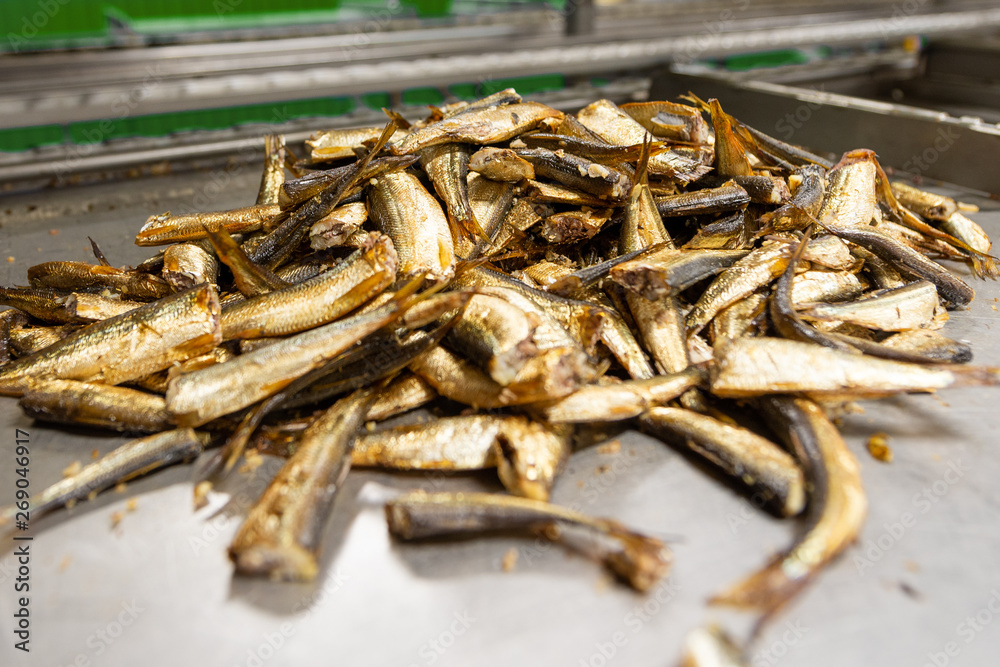 A pile of small smoked fish on a metal table. Laying fish in cans.