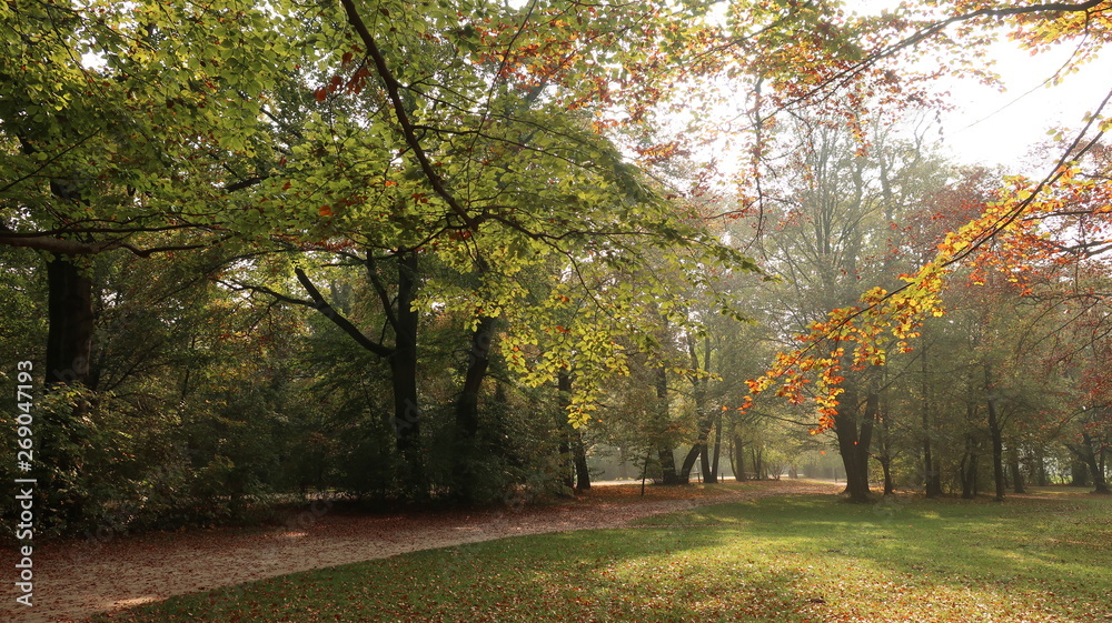 Fototapeta premium Herbst und Natur