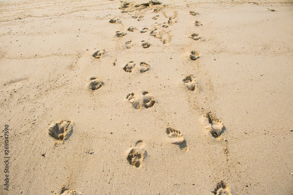 Footprints in the sand beautiful sand beach In the morning Footprints in the sand beautiful sand beach In the morning