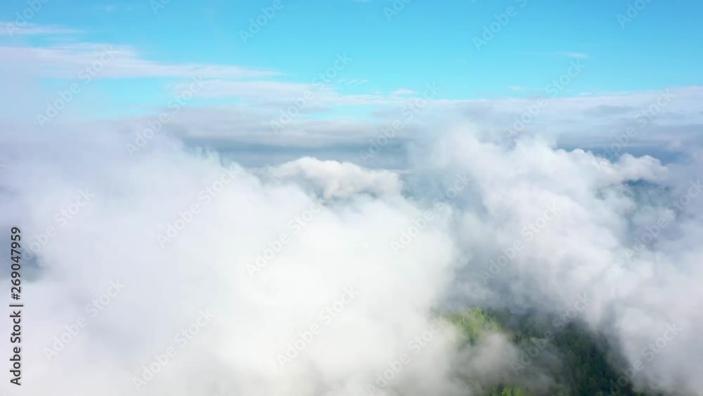 Flying over an amazing rain forest, aerial view above rain forest with fog at sunrise. 4K aerial video, Flying over an amazing rain forest, aerial view above rain forest with fog at sunrise. 4K aerial video,