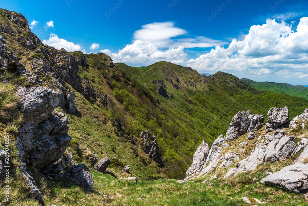 Spring in Central Balkan national park in Bulgaria, Kozya stena (goat wall) reserve