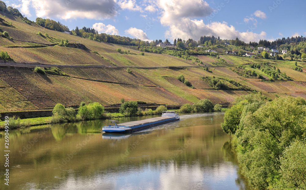 The Moselle river in Germany viewed from the village of Trittenheim with hillsides covered in Riesling grape vines