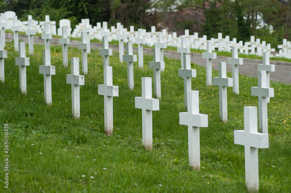 closeup of white cross alignment at military cemetery