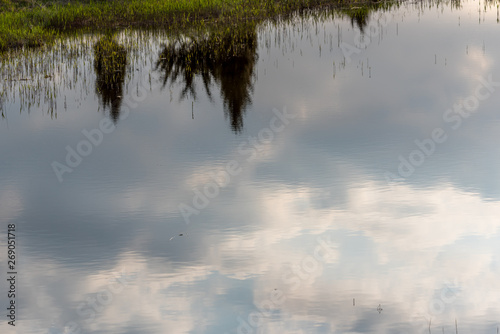 Reflections of Sky and Trees in a Lake in Wetlands in Latvia