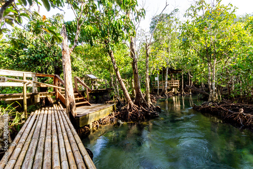 Tha Pom Klong Song Nam - Krabi Thailand