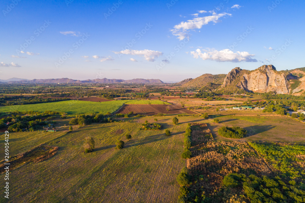 Naklejka premium Sugarcane plantation field aerial view
