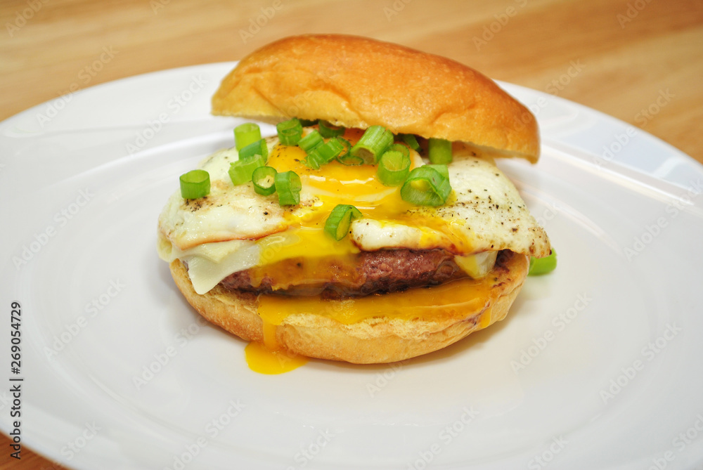 Fried Egg On Top of a Cheese Burger with Fresh Scallion Fried Egg On Top of a Cheese Burger with Fresh Scallion
