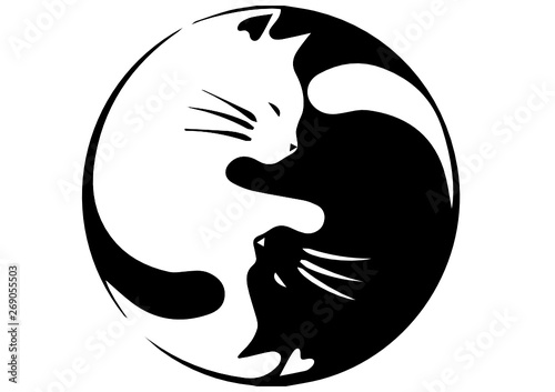 Gatos YIN-YANG