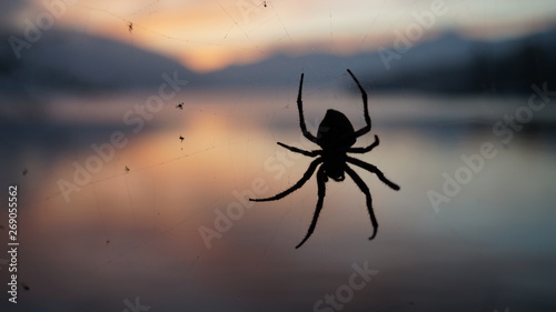 Mountain lake sunset and spider