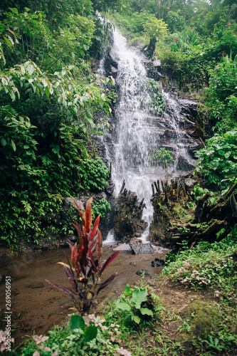 Gitgit waterfall at Bali, I...