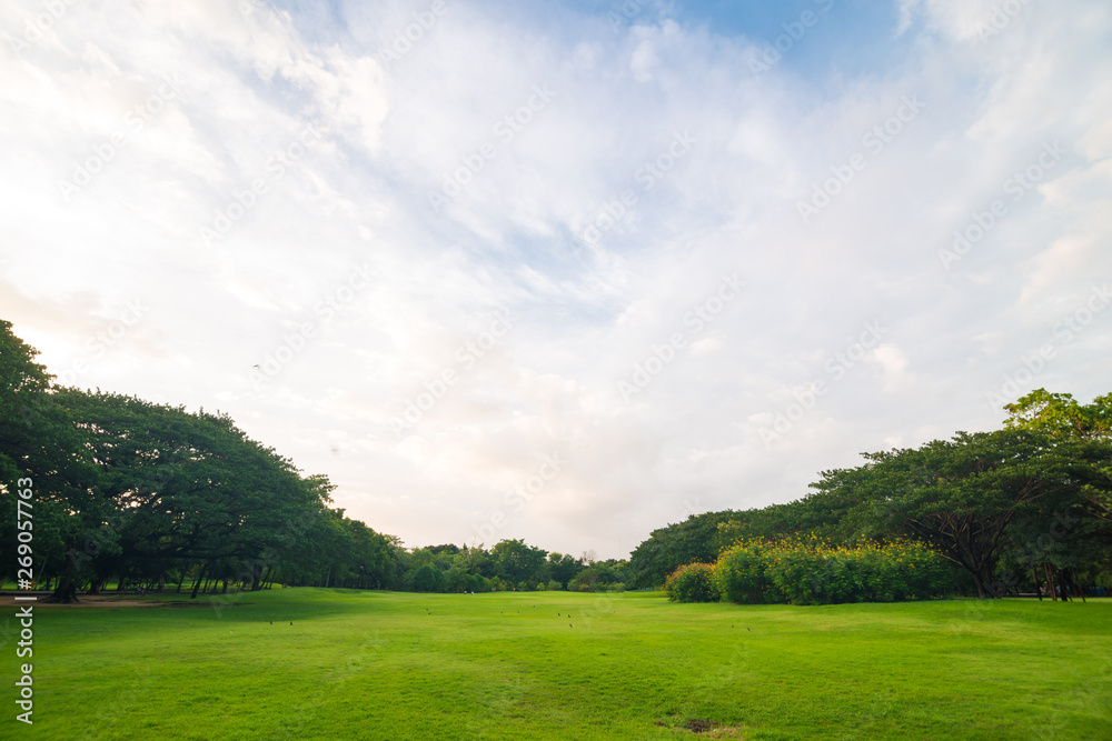 Public green tree park with pond Public green tree park with pond