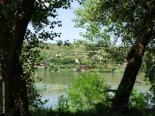 pond in the park