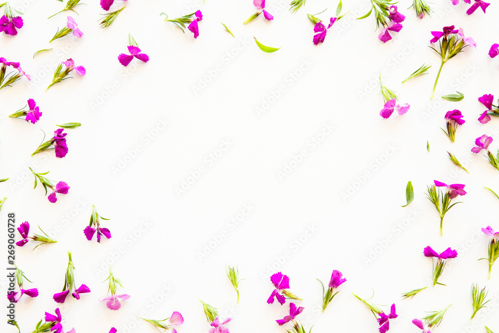 Purple flowers on background