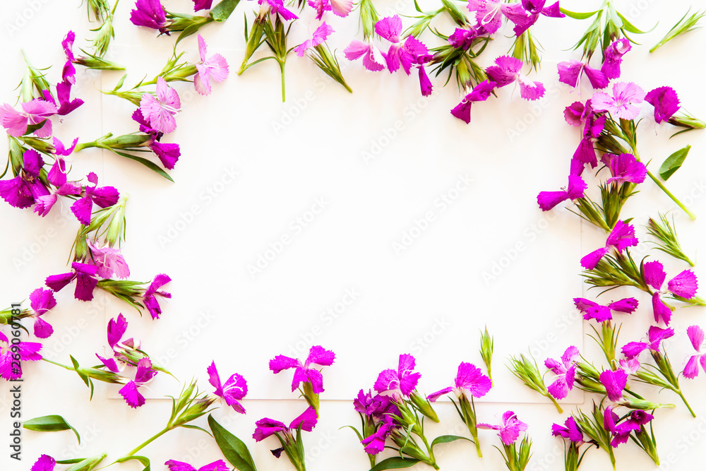 Purple flowers on background