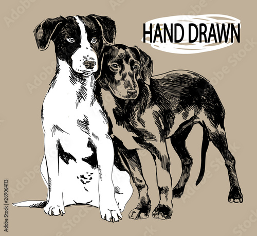 Two puppies. Drawing by hand in vintage style. Children's drawing. Dog spotted young.