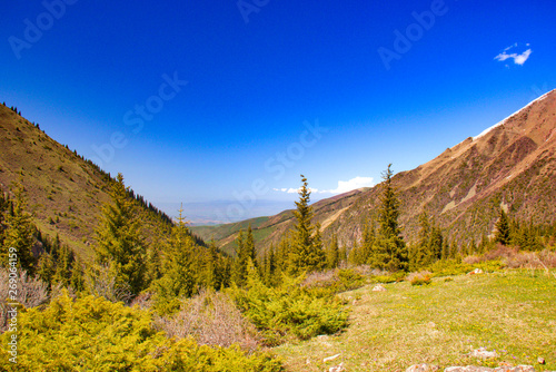 Mountain landscapes of Kyrgyzstan. Spring in the mountains.