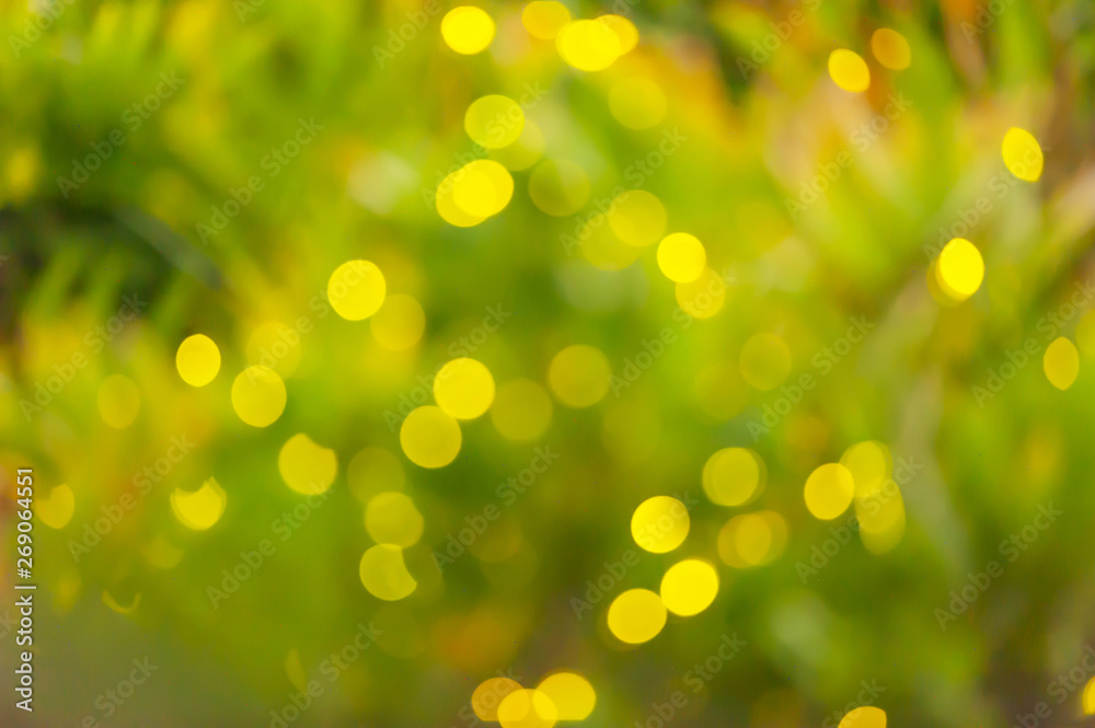 Obraz premium Motion blurred, soft focus on fireflies’ flashes in the tropical trees on rainy night, its subspecies of Bang Kachao, Samut Prakan, Thailand.