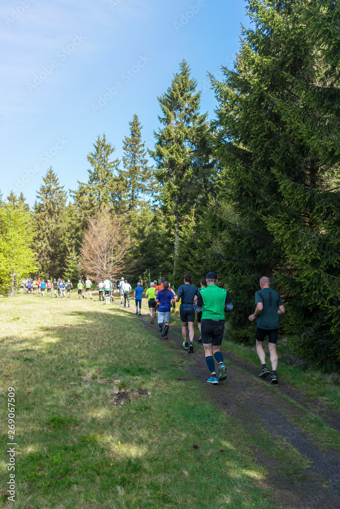Obraz premium Athletes trail running in a forest