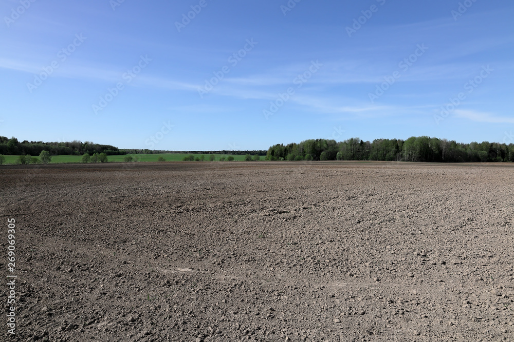 The near edge of a cultivated field on a spring day The near edge of a cultivated field on a spring day