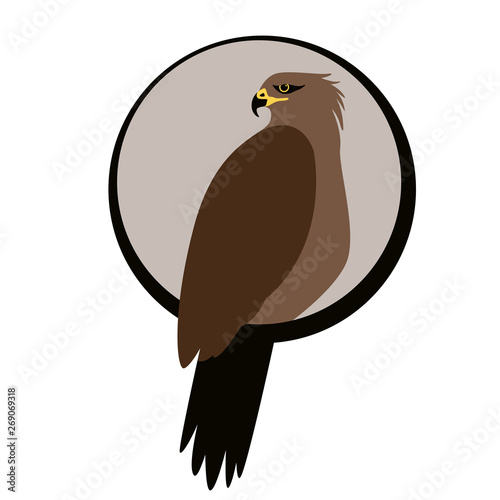 eagle hawk .vector illustration, flat style ,profile