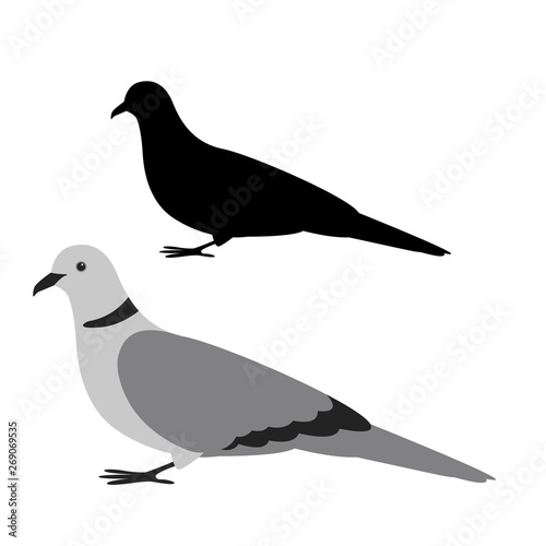 turtledove, vector illustration, flat style ,profile
