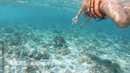 Goregous underwater GoPro footage of a young woman snorkelling, following a sea turtle in the clear waters of the Philippines. photo