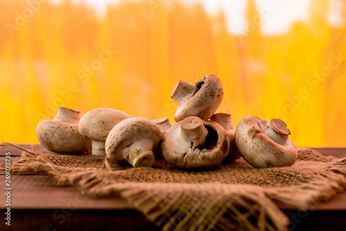 Fresh raw champignons on a wooden table on orange background