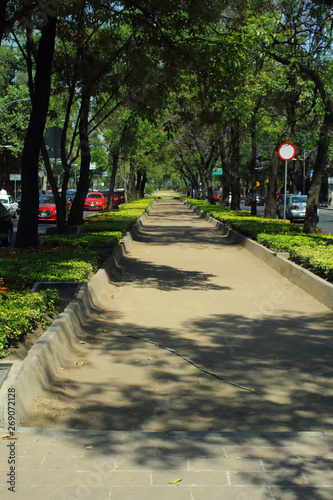Paseo de la Reforma es una de las más emblemáticas avenidas de la Ciudad de México. Esta foto fue tomada cerca del Bosque de Chapultepec. photo