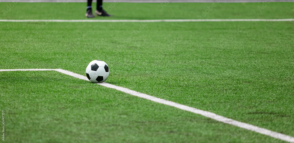 Soccer ball in the grass of the football field