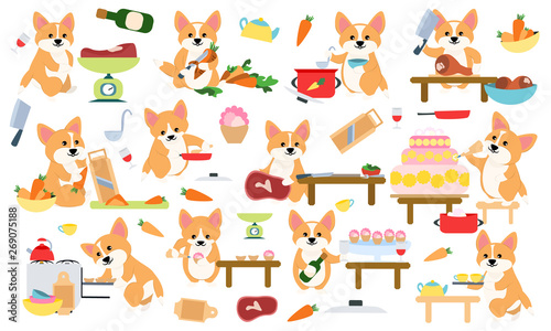 Fototapeta Naklejka Na Ścianę i Meble -   Set Cute dog corgi cooks are cooking in the kitchen. Baking cakes and pastries, cooking vegetables and meat. Cookware and things for cooking: pots, pans, gas stove. Vector illustration