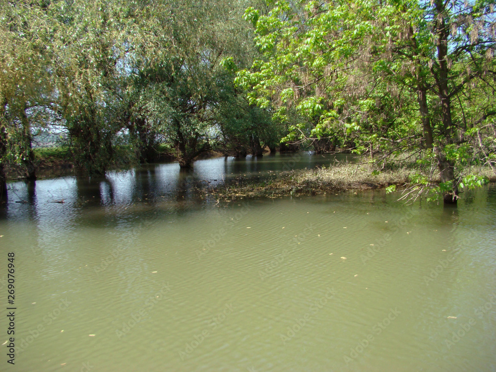 Spring in May on the Danube's arms Spring in May on the Danube's arms