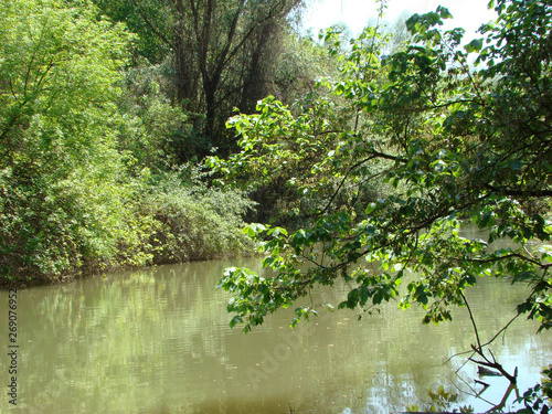 Spring in May on the Danube's arms