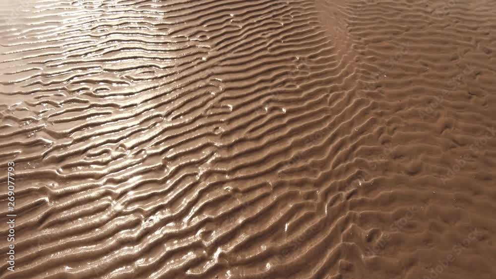 Beach on a summer day. Wet, ribbed sand glistens in the sun. Clear water and small waves. Beach on a summer day. Wet, ribbed sand glistens in the sun. Clear water and small waves.