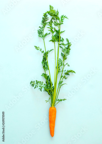 Fresh carrot on pastel blue background, top view, copy space, healthy food concept